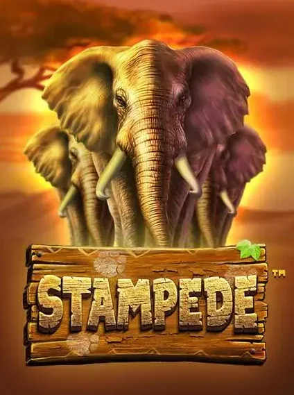 Decorative casino game artwork for 30Bet: Stampede
